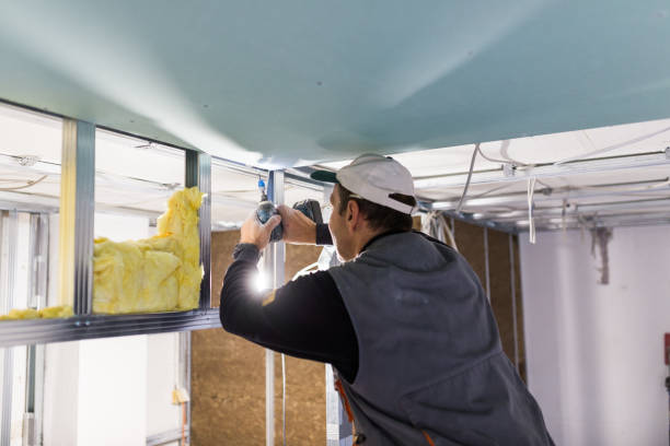 Best Spray Foam Insulation  in New Market, MD